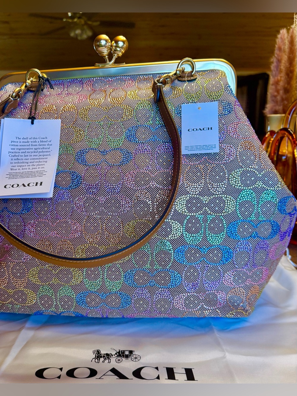 COACH Rainbow kisslock 30 Frame Tote - Multicolor